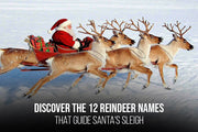 Discover the 12 Reindeer Names That Guide Santa's Sleigh