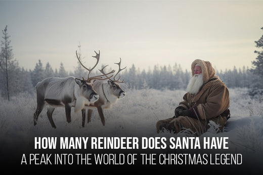 Discover the 12 Reindeer Names That Guide Santa's Sleigh – Santa'Ville