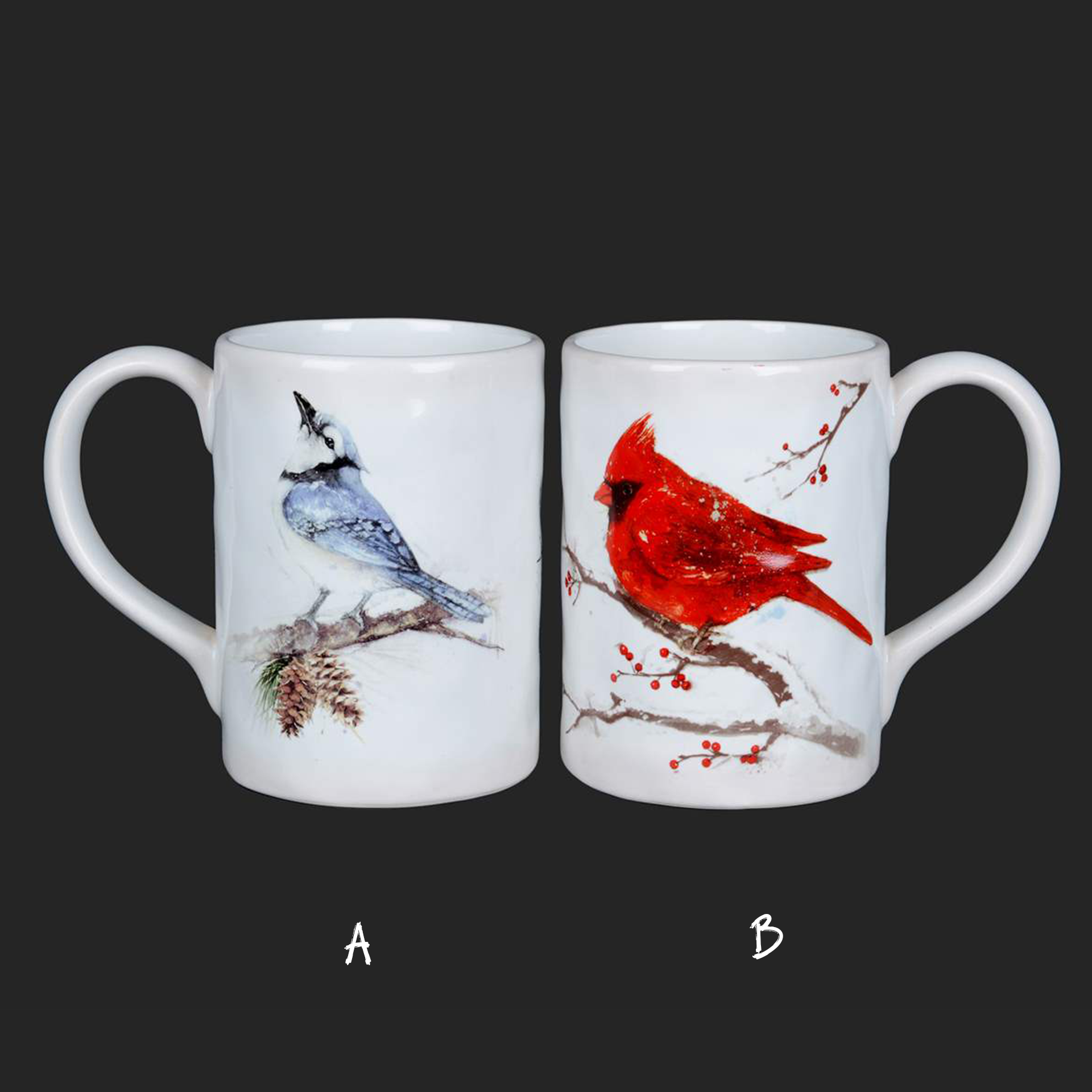 Cardinal and Blue Jay Mug