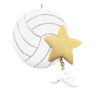 Volleyball